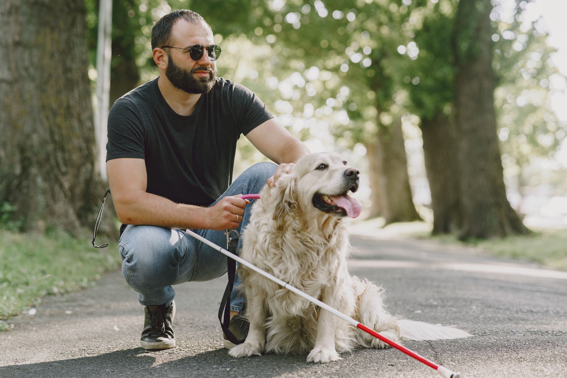 Blind man in a lush park with a dog.